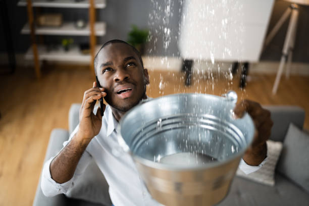 Best Water damage restoration experts  in Stateburg, SC