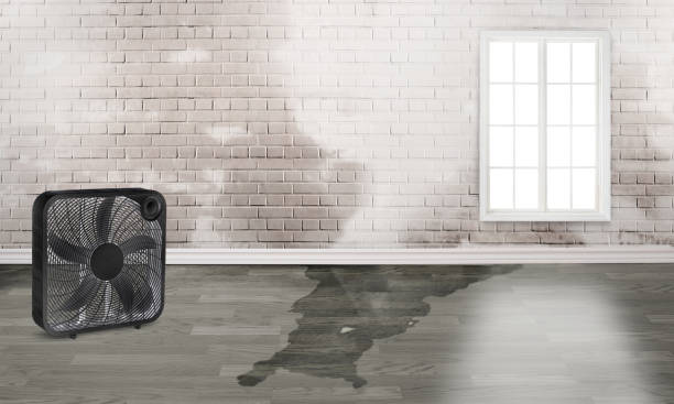 Best 24-hour water damage restoration  in Stateburg, SC