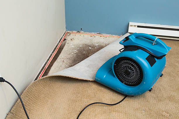 Professional Water damage restoration in Stateburg, SC